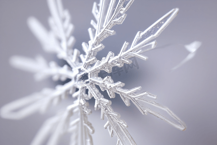 雪花装饰摄影照片_寒冷冬季雪花装饰图片26