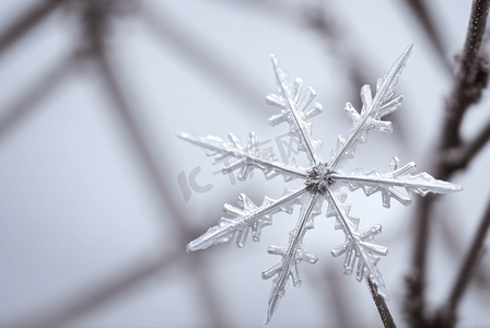 寒冷冬季雪花装饰图片23