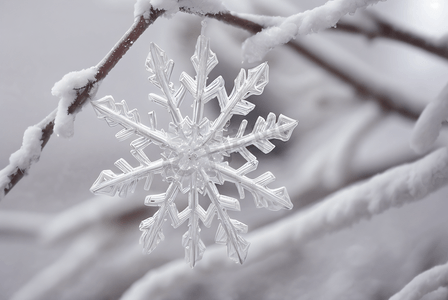 寒冷冬季雪花装饰图片18
