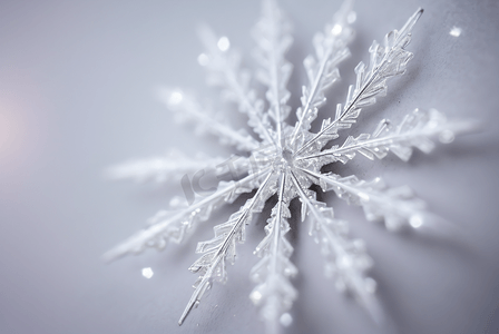 寒冷冬季雪花装饰图片20