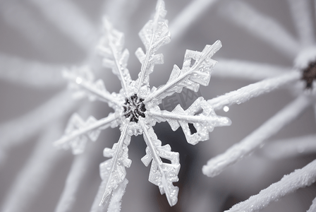 雪花装饰摄影照片_寒冷冬季雪花装饰图片19