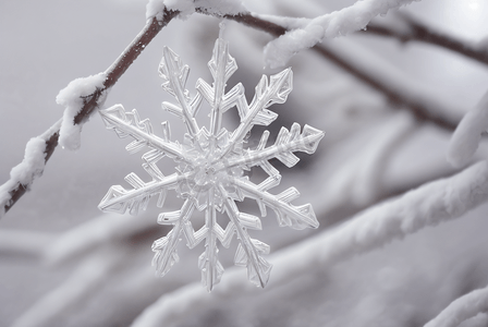 寒冷冬季雪花装饰图片4