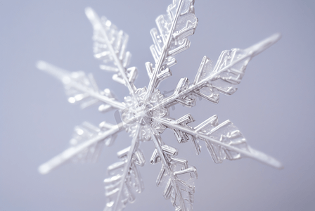 寒冷冬季雪花装饰图片1205