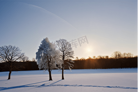 积雪图片摄影照片_冬季户外雪景积雪图片4