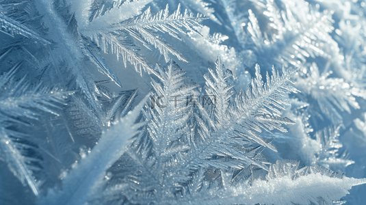 冬季户外树枝路面上的冰花背景图13