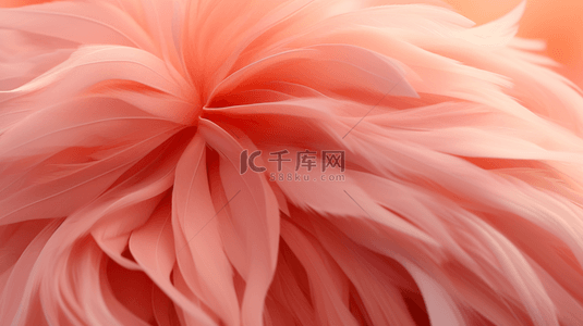 红色质感花朵背景背景图片_毛茸茸花朵文艺质感温馨背景图23