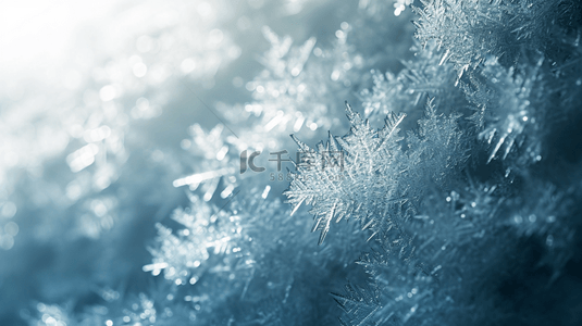 冬季户外树枝路面上的冰花背景图2