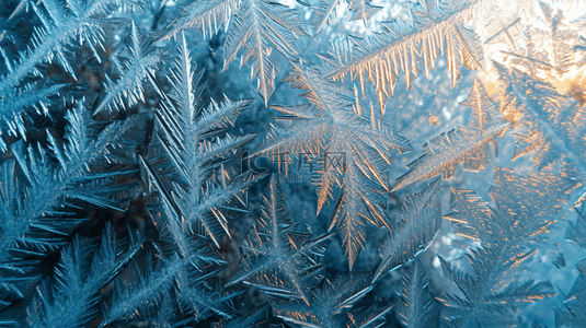 金色雪花背景图背景图片_日出雪花风景冬天下雪冰霜背景图17