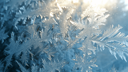 日出雪花风景冬天下雪冰霜背景图16