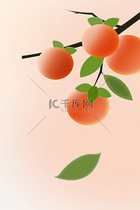 冬天柿子背景图片_简约弥散风植物柿子弥橙色背景