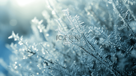 冬季户外树枝路面上的冰花背景图18