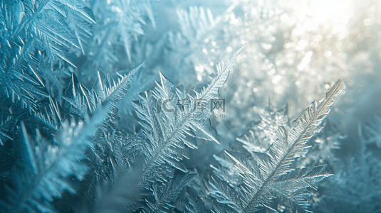 简约路背景图片_冬季户外树枝路面上的冰花背景图15