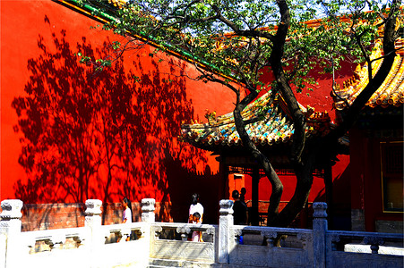 红色古城墙上的树影古建筑图片