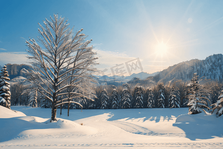 阳光照射下的高山雪景图5摄影照片