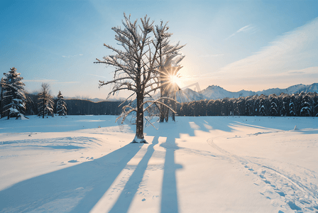 灭火器高清图片摄影照片_冬日暖阳照射下的雪景图8高清图片