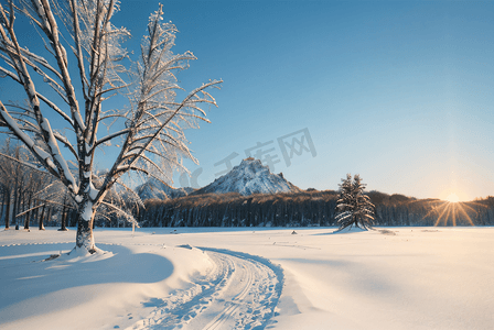 冬日暖阳照射下的雪景图3高清图片