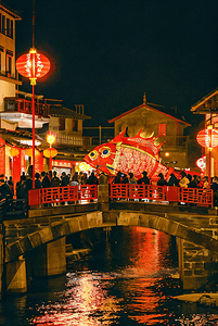 中国传统过年春节热闹灯会摄影图片6