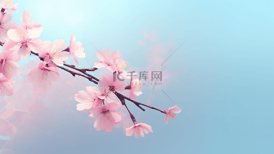 蓝粉色弥散风清新春天花朵背景