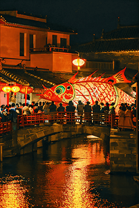 中国传统过年春节热闹灯会摄影照片5