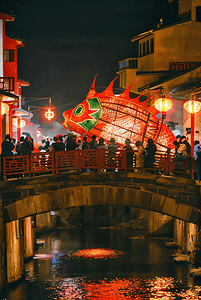 热闹春节摄影照片_春节过年热闹灯会鱼灯摄影图片6