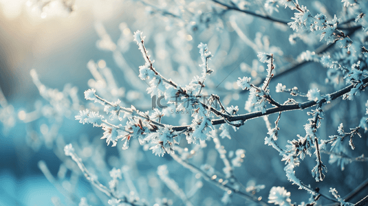 冬季开花背景图片_早春植物盛开的花朵图片18