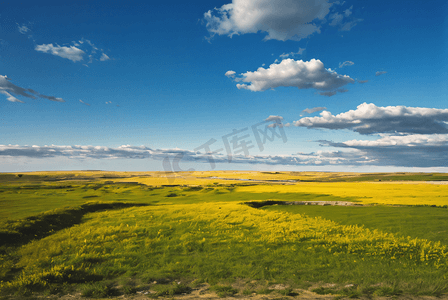 春季蓝天白云下的草原摄影图