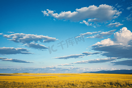 春季蓝天白云下的草原摄影照片1