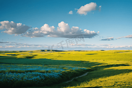 春季蓝天白云下的草原摄影图2