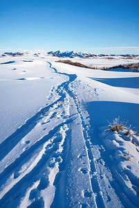 冬天冬季寒冷白色雪景图211高清摄影图