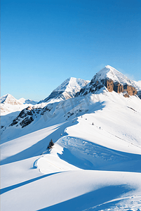 冬天冬季寒冷白色雪景图214高清摄影图