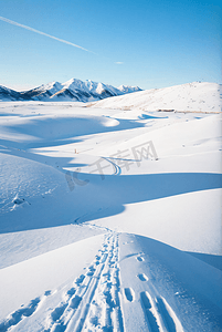 冬天冬季寒冷白色雪景图209图片