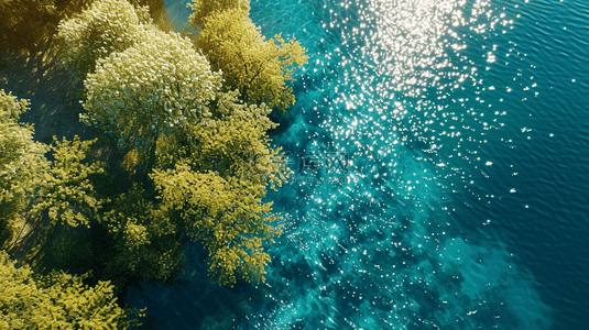 清澈河水背景图片_绿色树木和波光粼粼的湖面景观背景图1