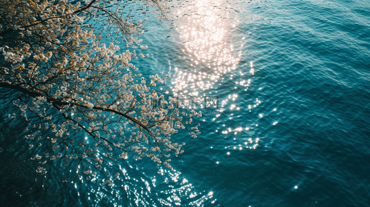 绿色树木和波光粼粼的湖面景观背景图8