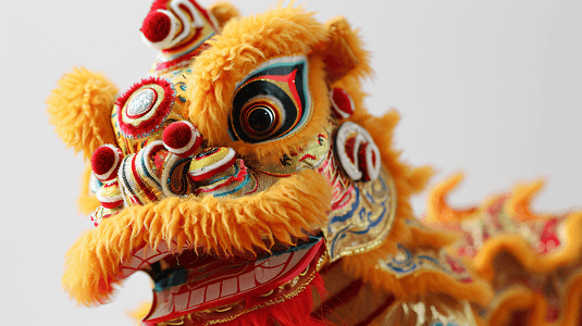 传统节日舞狮摄影19