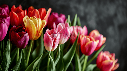 颜色鲜艳花朵花束郁金香图片背景图3