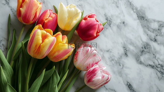 颜色鲜艳花朵花束郁金香图片背景图6