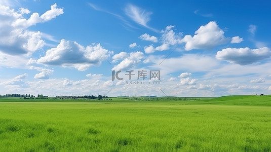 破土绽放的小草背景图片_春天草地小草蓝天白云背景素材