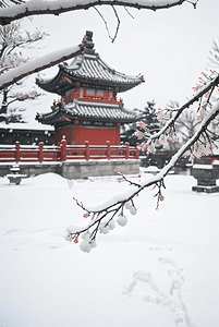 冬季庭院外雪景风光图10摄影照片