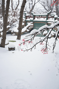 中式庭院厚厚积雪摄影照片2