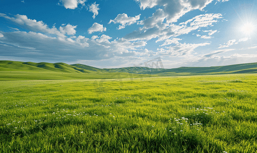 牧场牛摄影照片_内蒙古大草原天然牧场