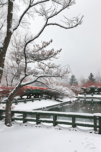 中式庭院户外树木积雪图高清图片