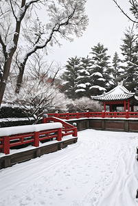 中式庭院冬季户外雪景图3高清图片