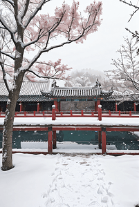 中式庭院冬季户外雪景图5高清图片