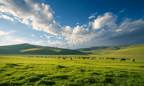 现代河流摄影照片_内蒙古大草原天然牧场