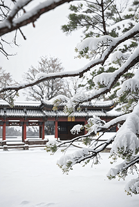 梅花动图摄影照片_寒冷冬季中式庭院景观图4照片