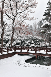 中式庭院冬季户外雪景图照片