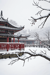 中式庭院厚厚积雪摄影配图6