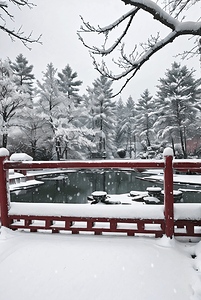 梅花摄影照片_冬天中式庭院厚厚积雪摄影配图3