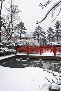 中式庭院厚厚积雪摄影图片2