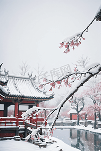 中式庭院厚厚积雪摄影图4